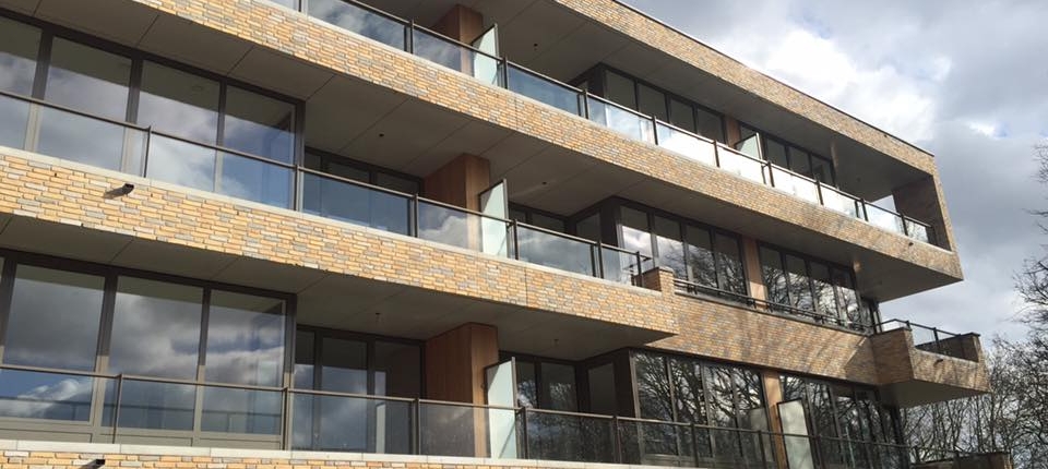 16998151_1140101249432180_773231962474729020_n